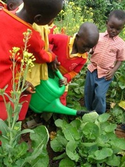 Empower Ugandan school children to combat hunger