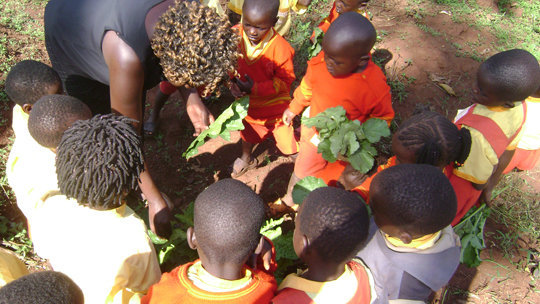 Empower Ugandan school children to combat hunger