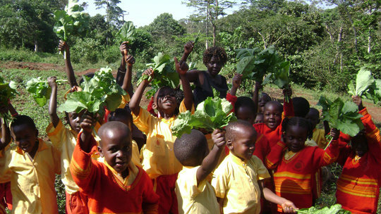 Empower Ugandan school children to combat hunger