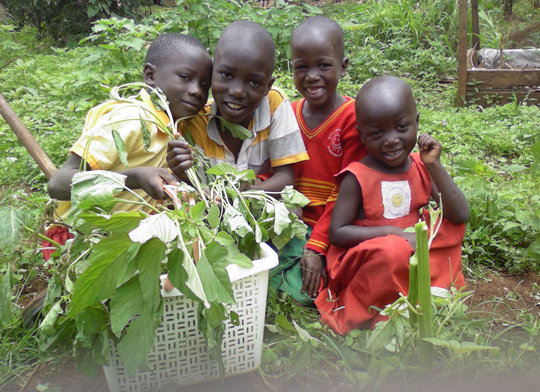 Empower Ugandan school children to combat hunger