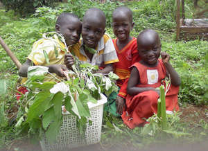 Happy vegetable harvest at Sunrise school