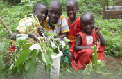 Empower Ugandan school children to combat hunger