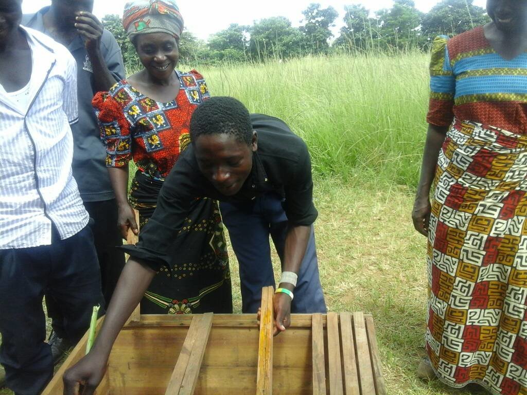 Help Zambian beekeepers get much-needed equipment