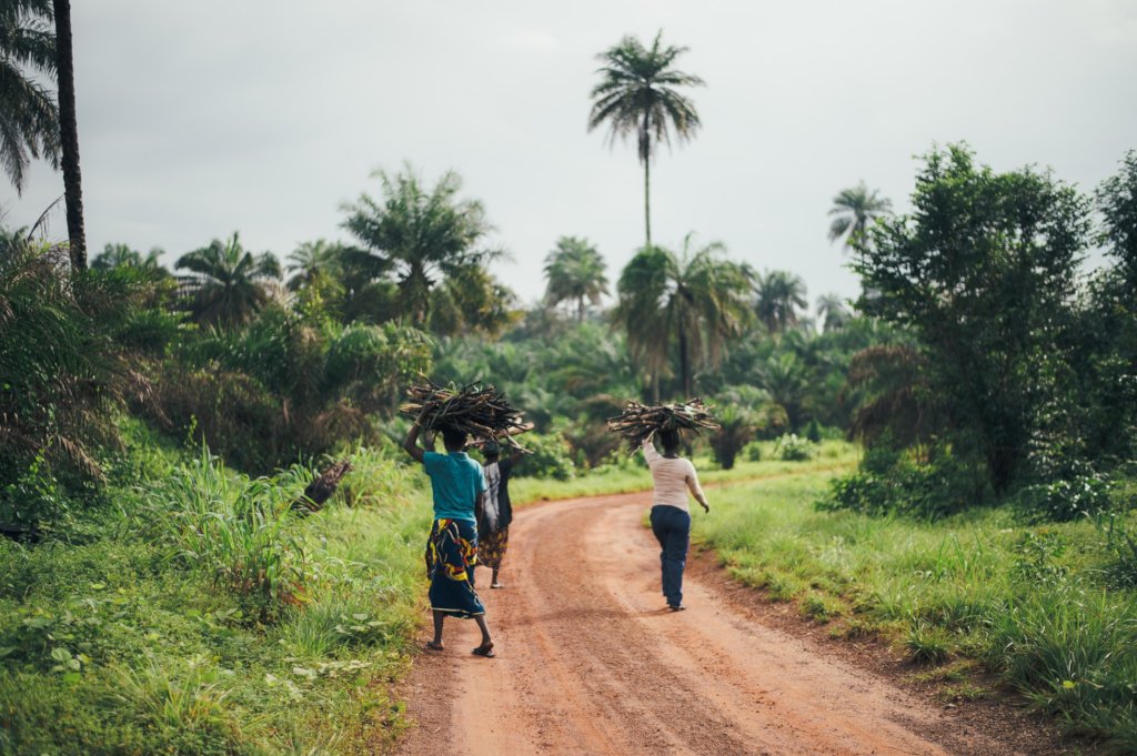 Keep Tanzania Green