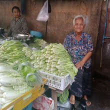 Grandma A82 supports adult grandson