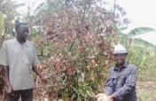 Aid 1,000 Vulnerable Households in Kanungu