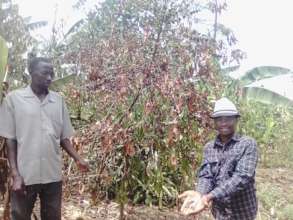 Aid 1,000 Vulnerable Households in Kanungu
