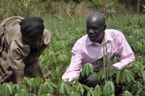 Women economic empowerment