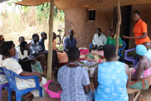 Field accountant sharing with beneficiaries
