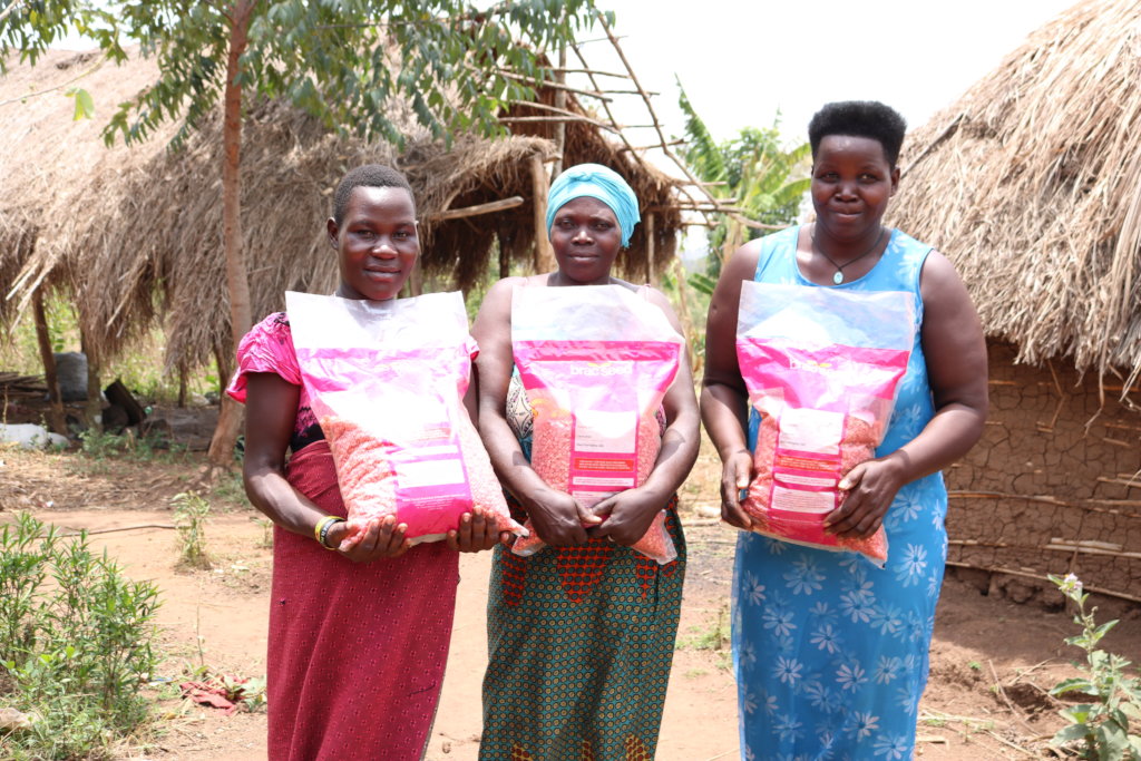 Empower 40 rural women to support a household.