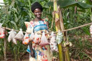 Beneficiary supported on food sale production