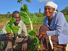 Beneficiary in the farm