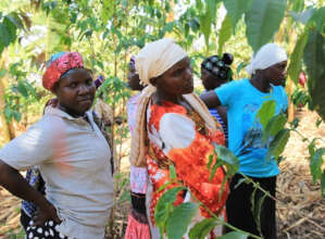 Rural women farming in rural village in Hoima