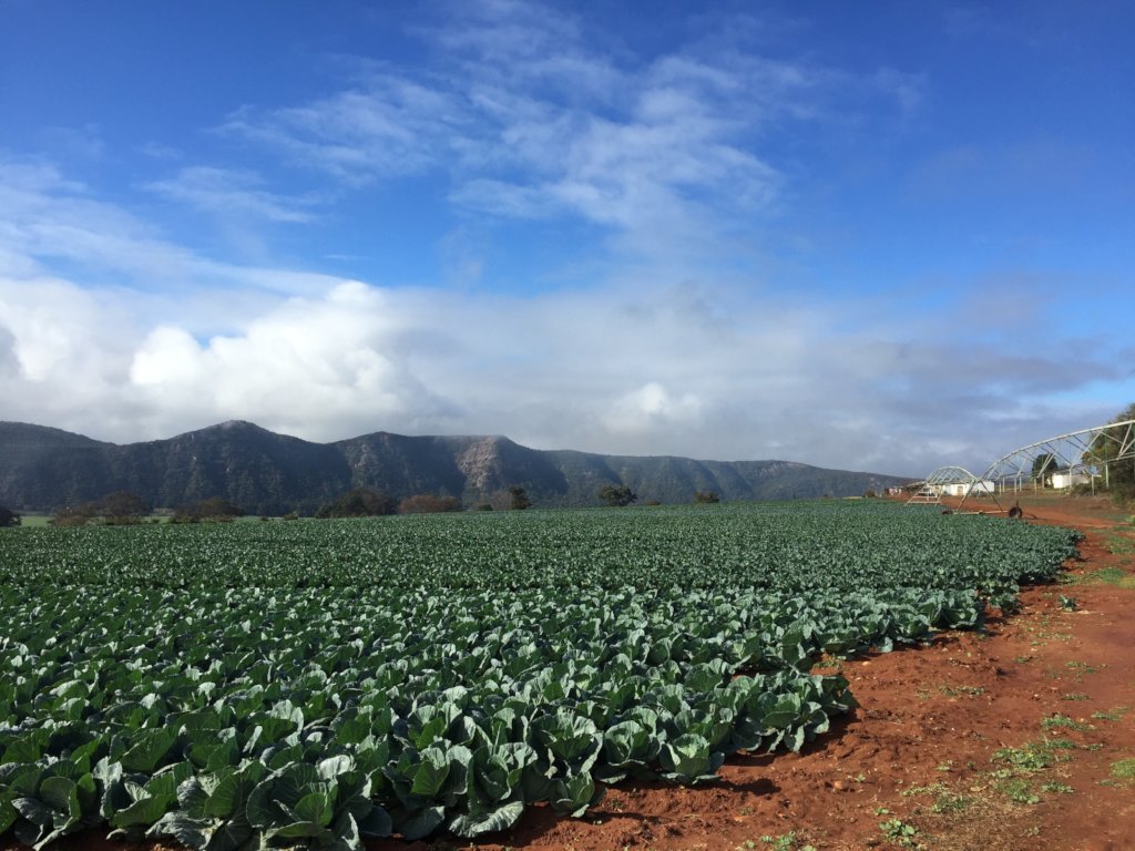 Help Rural African Education Program Get Computers