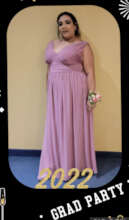 Prom Dress Program