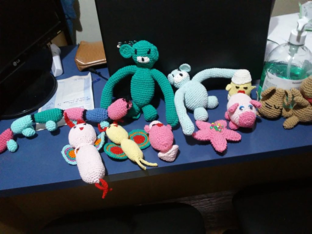 Help 51 Elderly, Homeless Women Have a Home