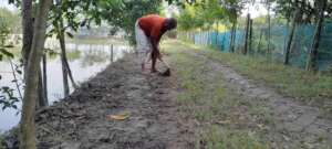 Nursery bed is prepared by community