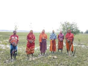 Only hope for natural protection