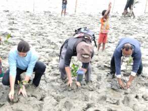 Planting mangrove to protect the earth