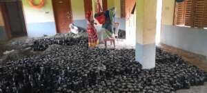Preparation for mangrove seedlings production