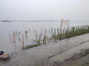 Protection of coastal  belt