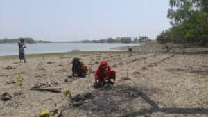 Community people planted tree