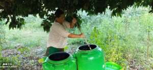 Preparing bio pesticides to spray in vegetable fie
