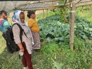 Capacity building trg for vegetable productions