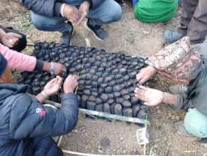 Off season vegetable seed sowing