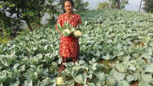 Ready for marketing by women farmer