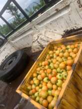 Ready for market for income generation