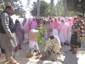 Plantation during opening of vocational center