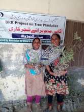 Tree Plantation in the target areas