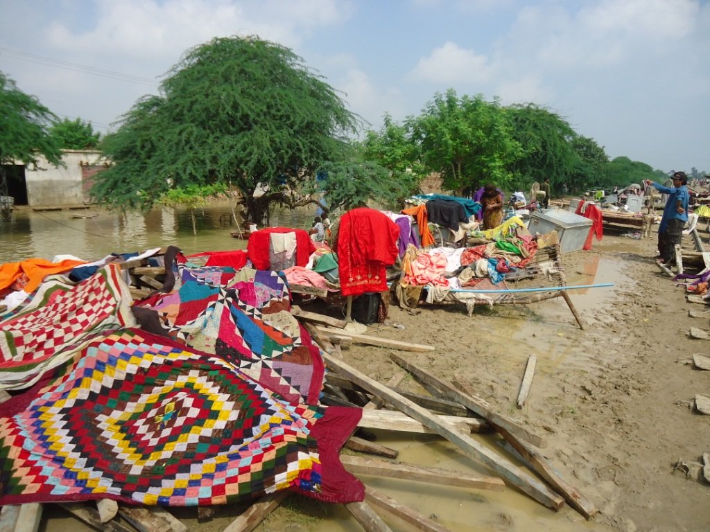 1Million trees to fight climate change in Pakistan