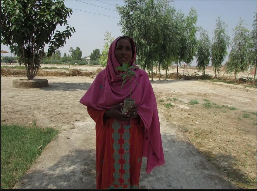 1Million trees to fight climate change in Pakistan