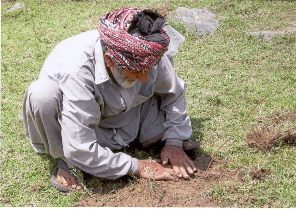 1Million trees to fight climate change in Pakistan