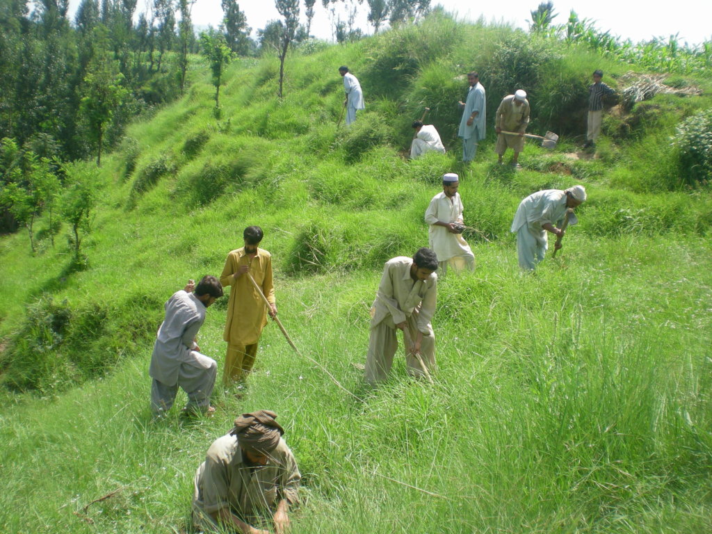 1Million trees to fight climate change in Pakistan