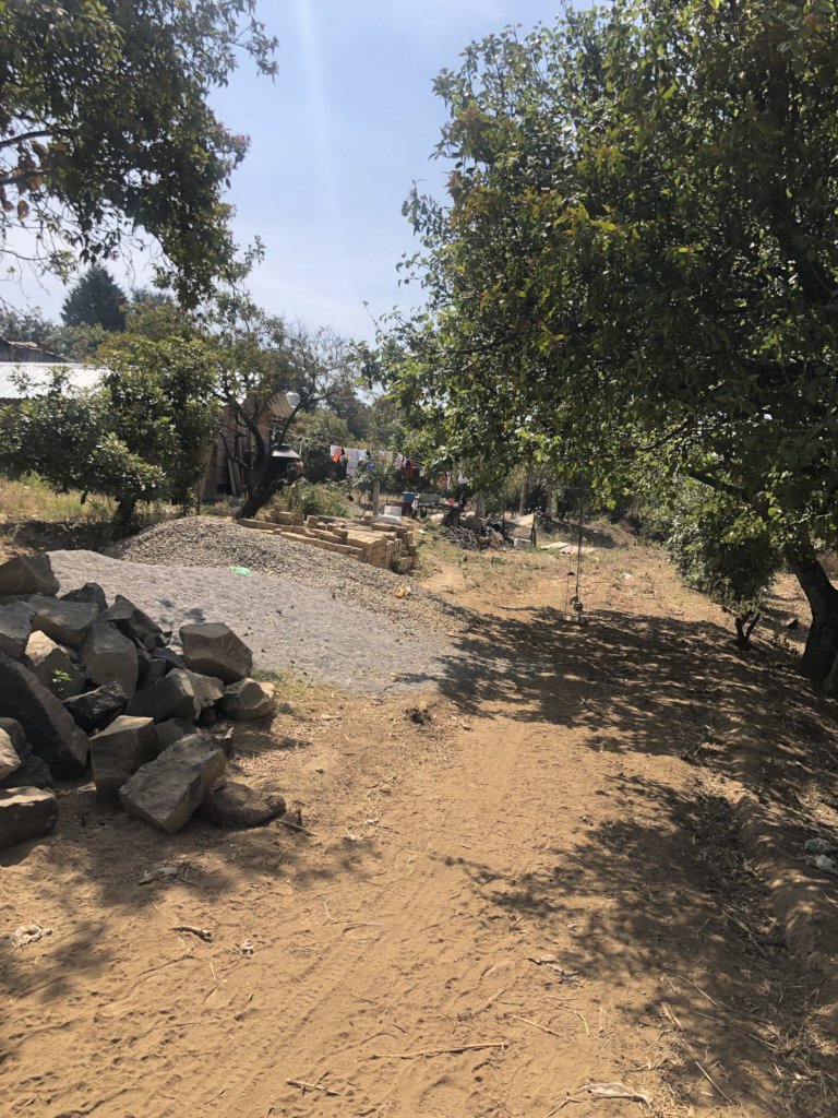 A house for Diana and her girls.