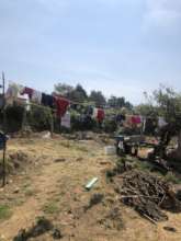 The site