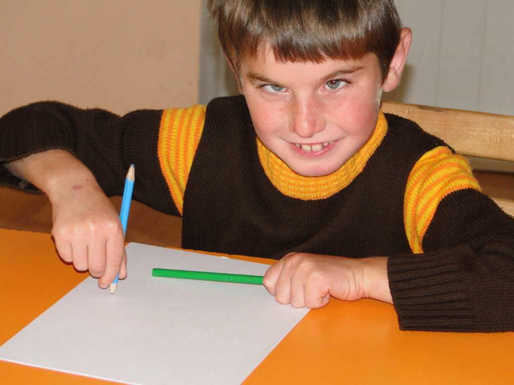Van for Transporting Children with Disabilities
