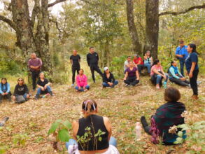 Students at a bootcamp session in the forest