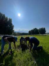 Reforestation purisima