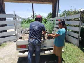 Plant delivery