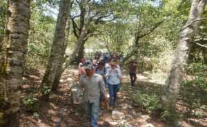 Nature Walk - Appreciation and Interpretation