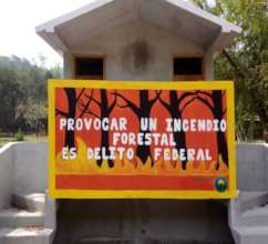 Mural