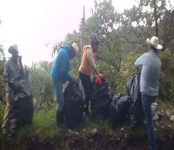 Clean-up days -separation of recyclables
