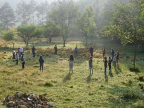 Forest walk and activity for youth