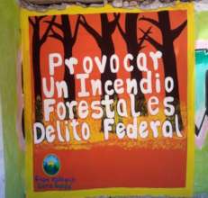 "Starting a forest fire is a Federal crime."