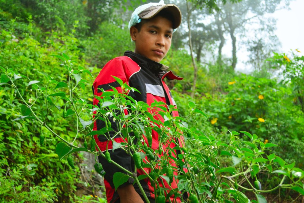 Support Young Environmental Leaders in Mexico