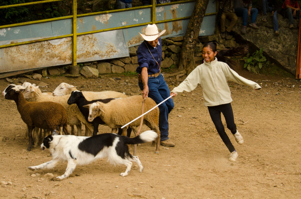 Support Young Environmental Leaders in Mexico